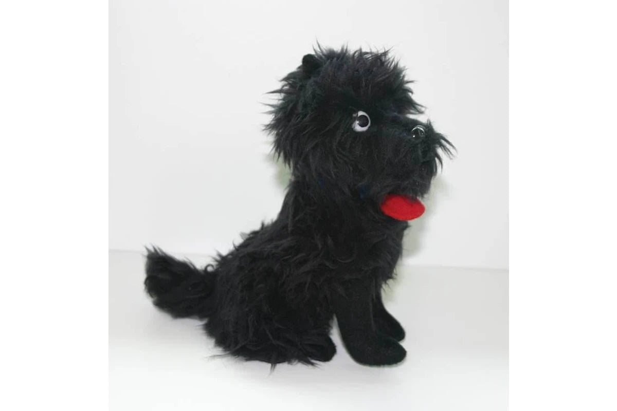 hairy maclary book & toy set