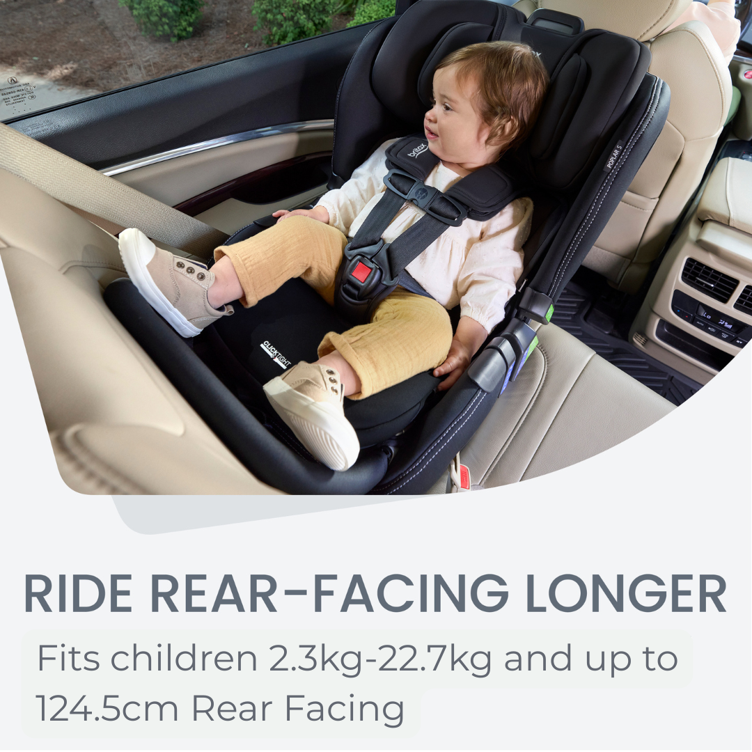 Britax Poplar Clicktight Convertible Carseat