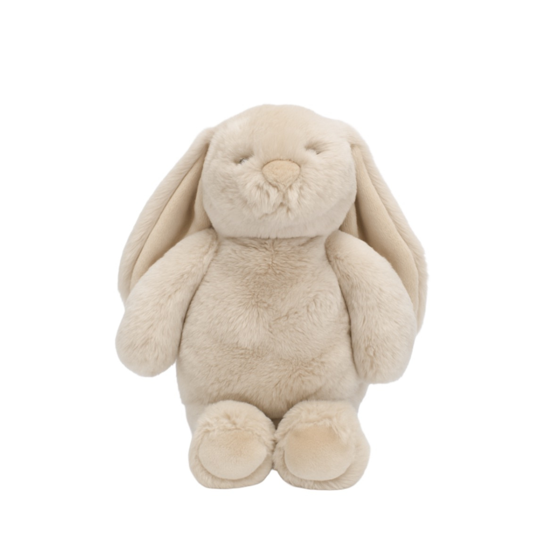 Lily & george littlefoot bunny biscuit