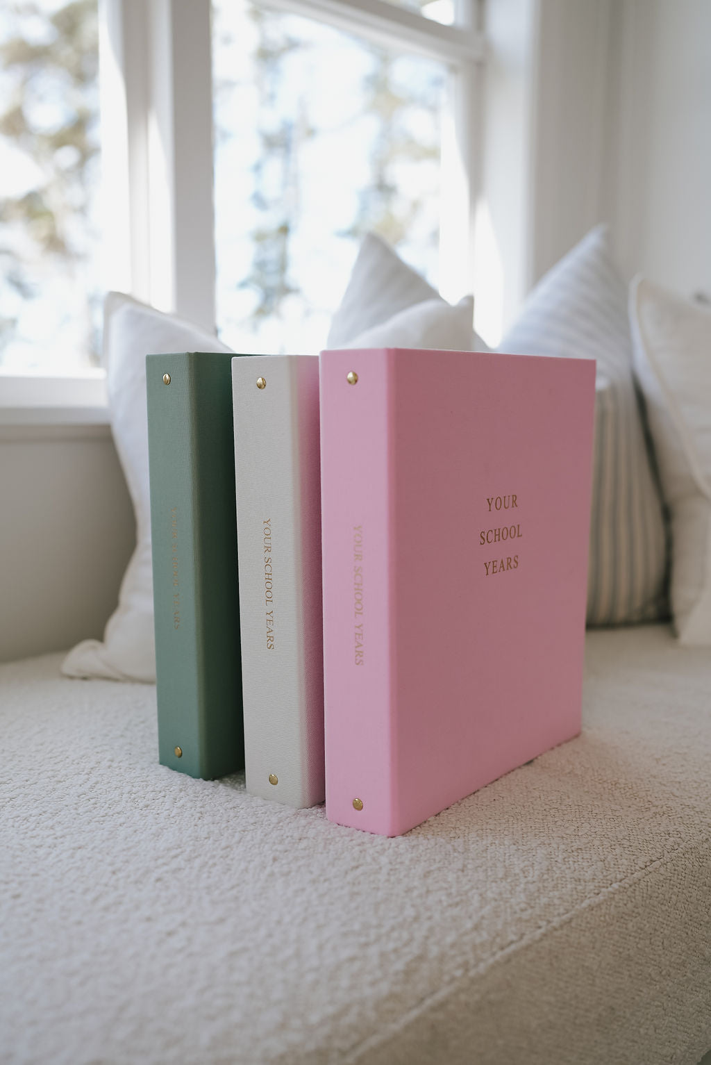 Your school years school record organiser