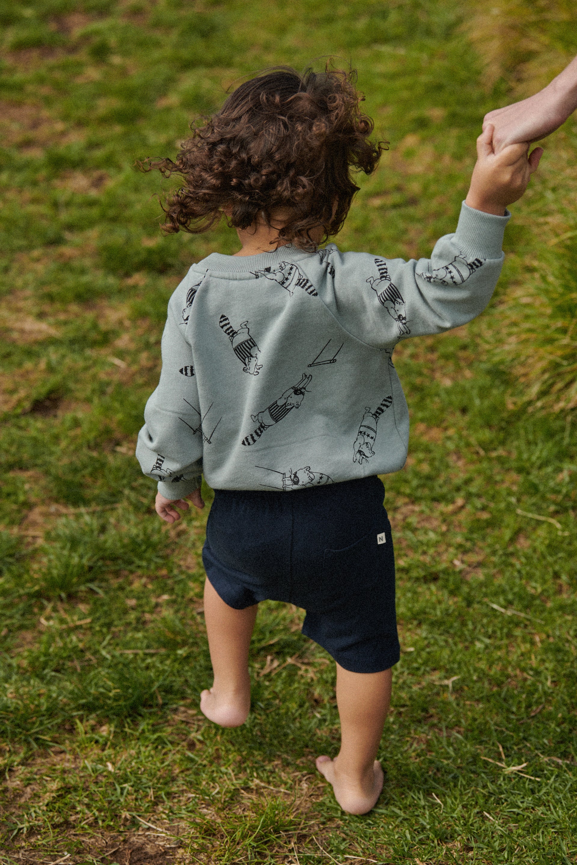 Emerson Jumper Raccoon Rhapsody