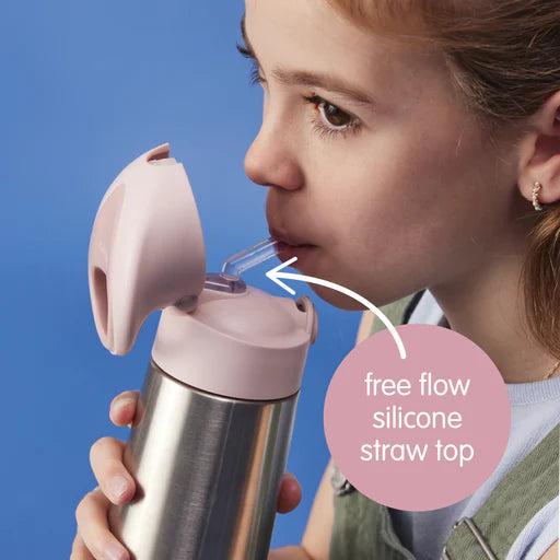 bbox 500ml insulated drink bottle