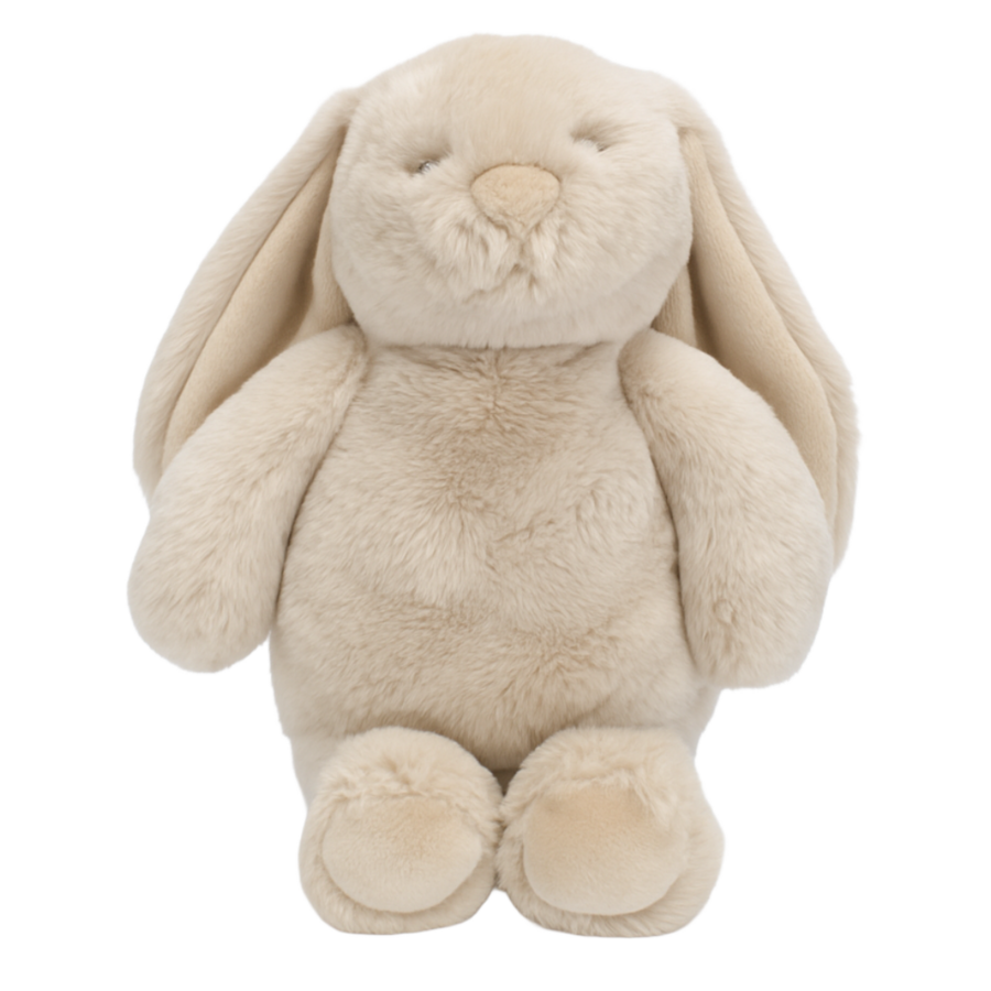 Flopsy Bunny Soft Toy | Biscuit