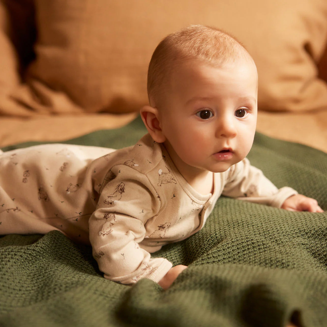 merino blanket thyme