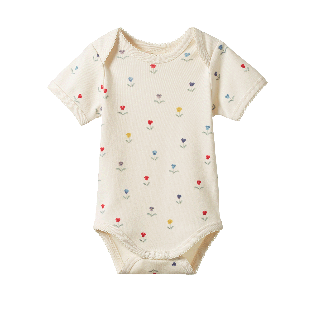 Nature Baby bodysuit delphine