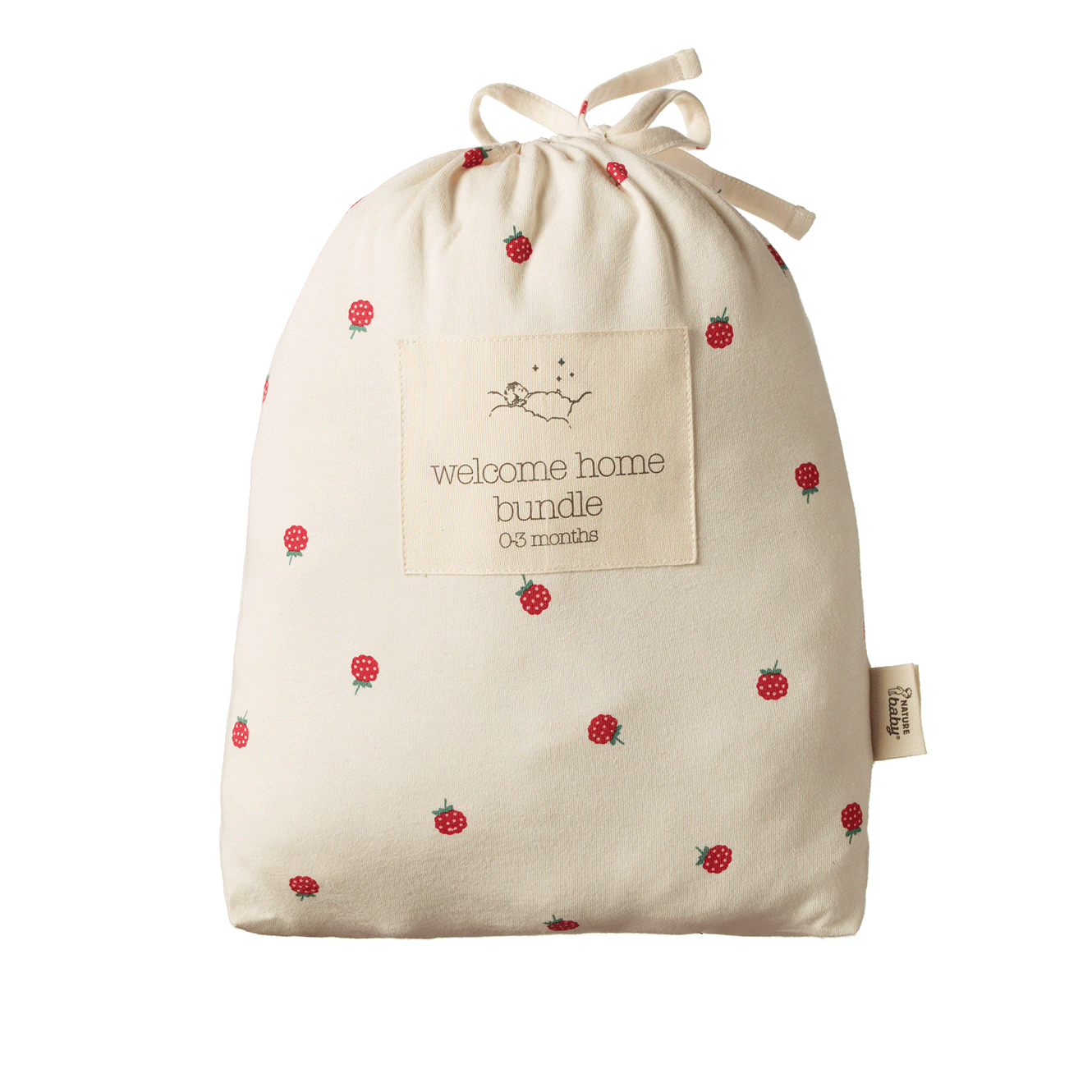welcome home bundle raspberry