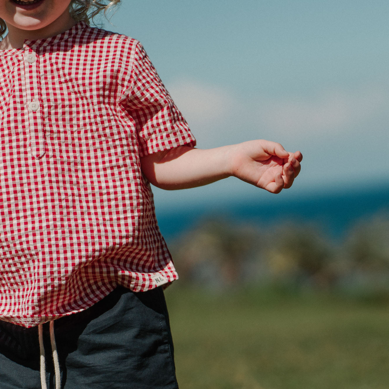 gingham caravan shirt nature baby
