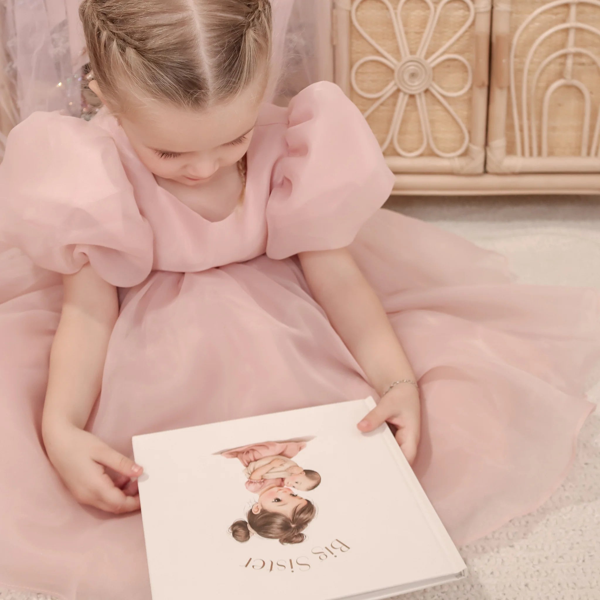 little love chapters big sister book