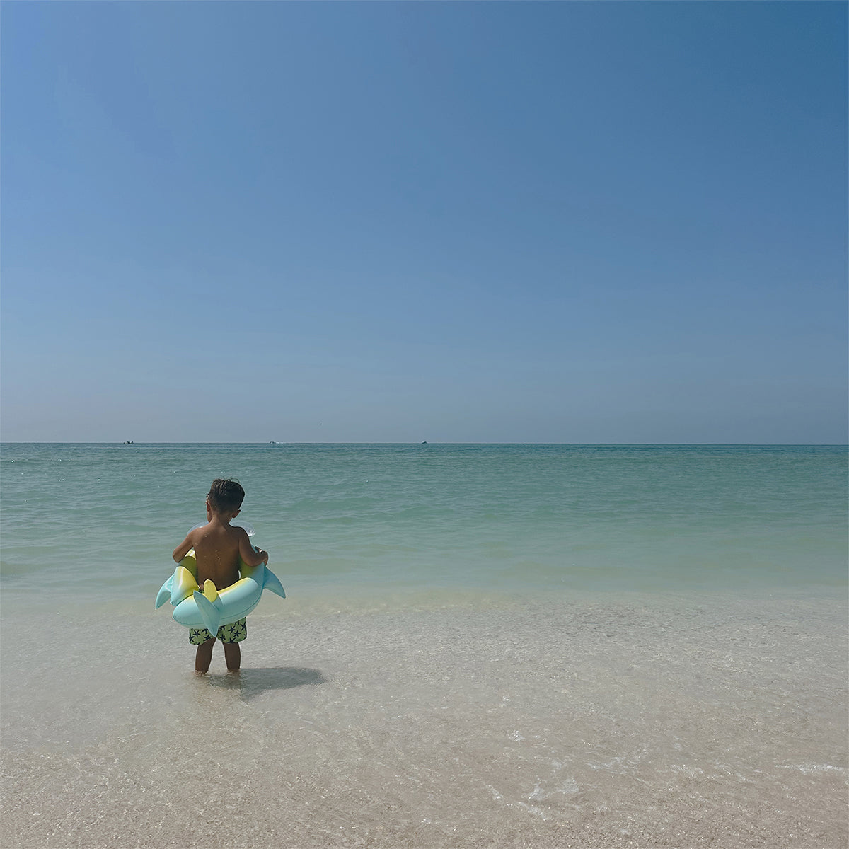 sunnylife shark pool ring