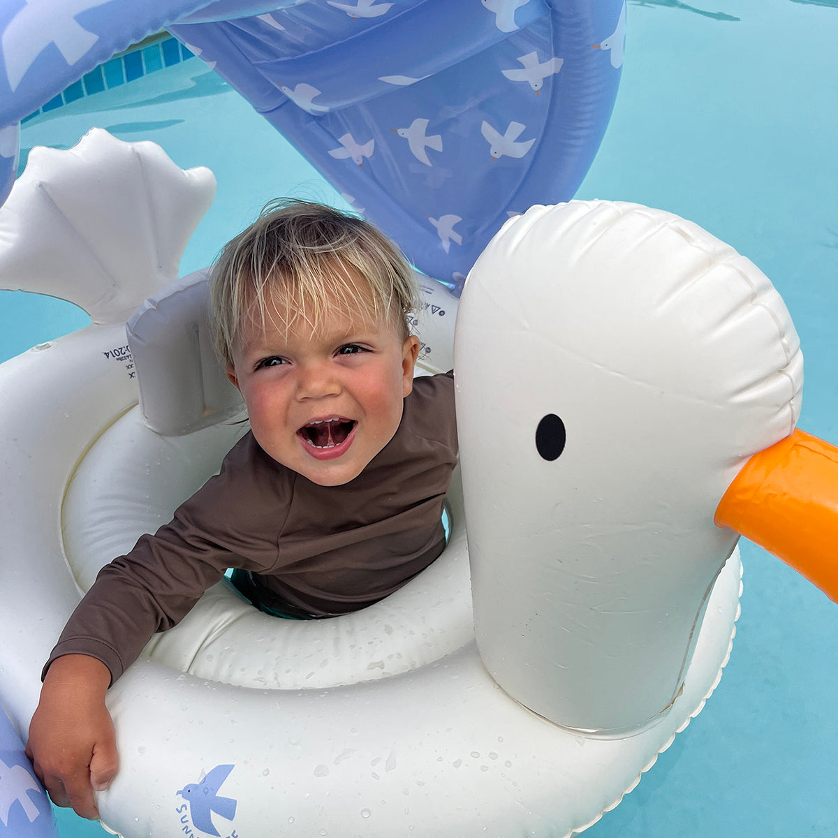 sammy the seagull baby float