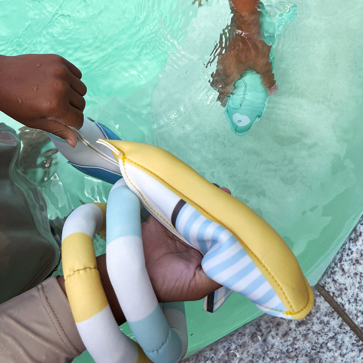 sunnylife dive buddies sammy