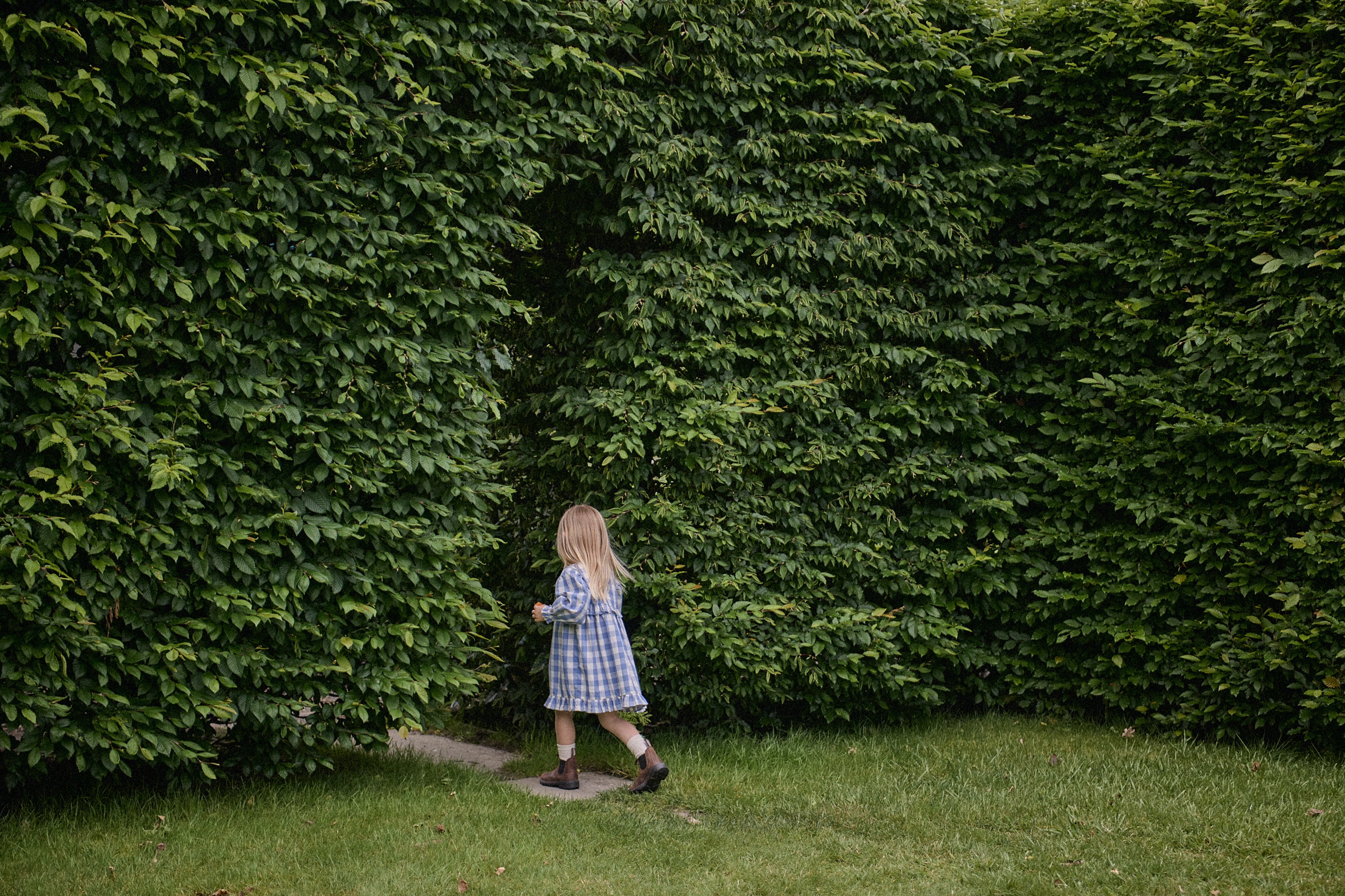 nature baby bluebelle check nora dress