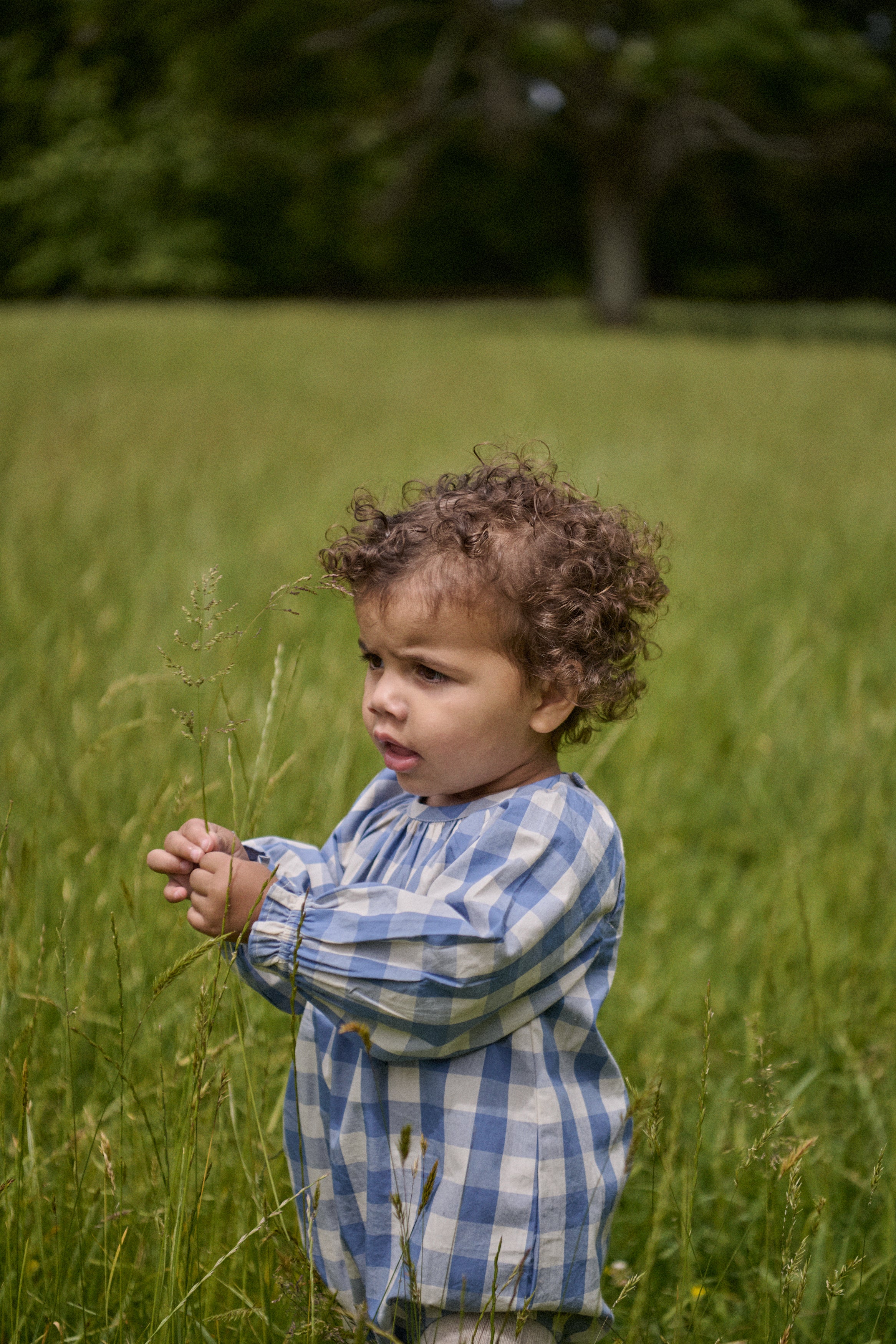 meadow bodysuit bluebelle check