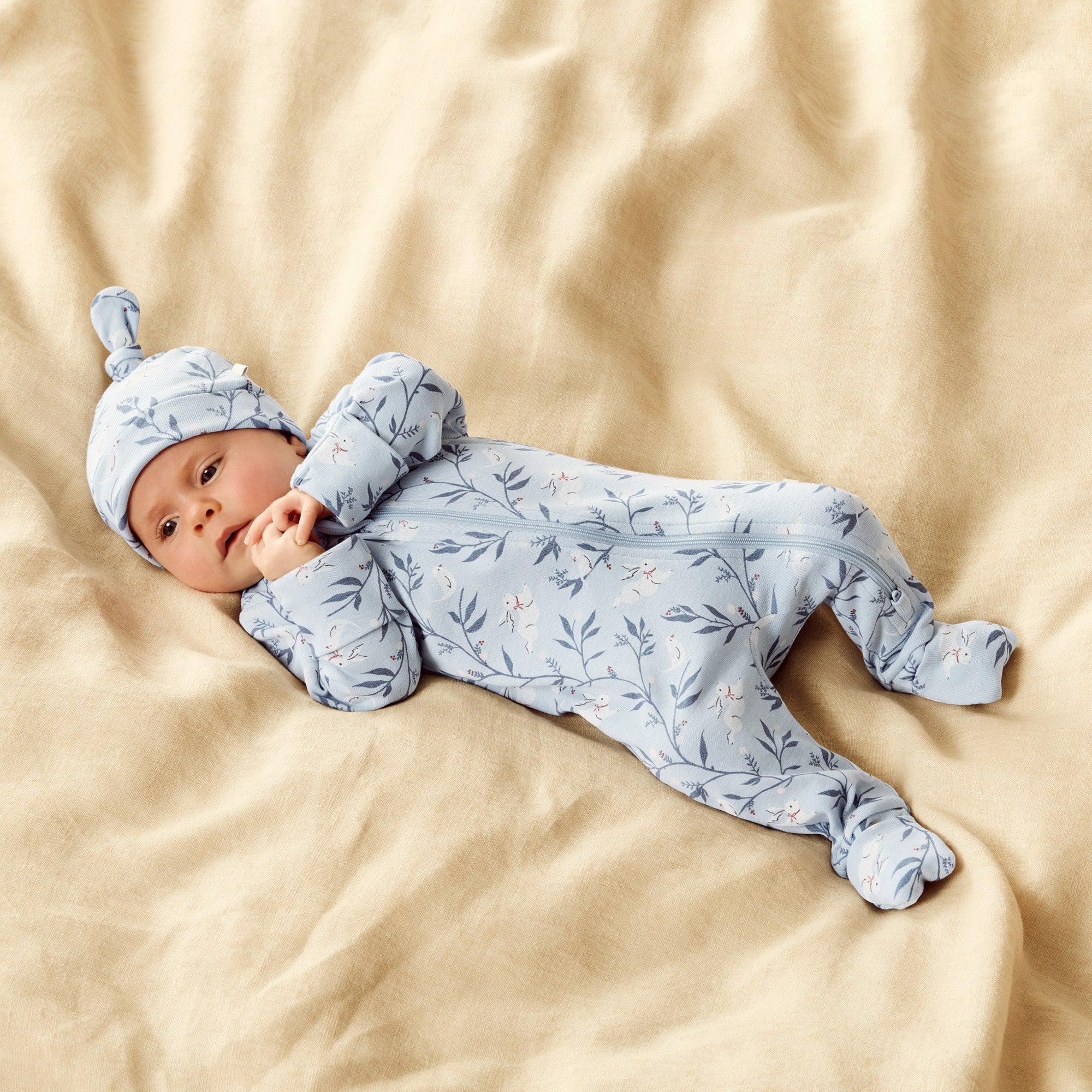 wilson and frenchy zip suit bunny