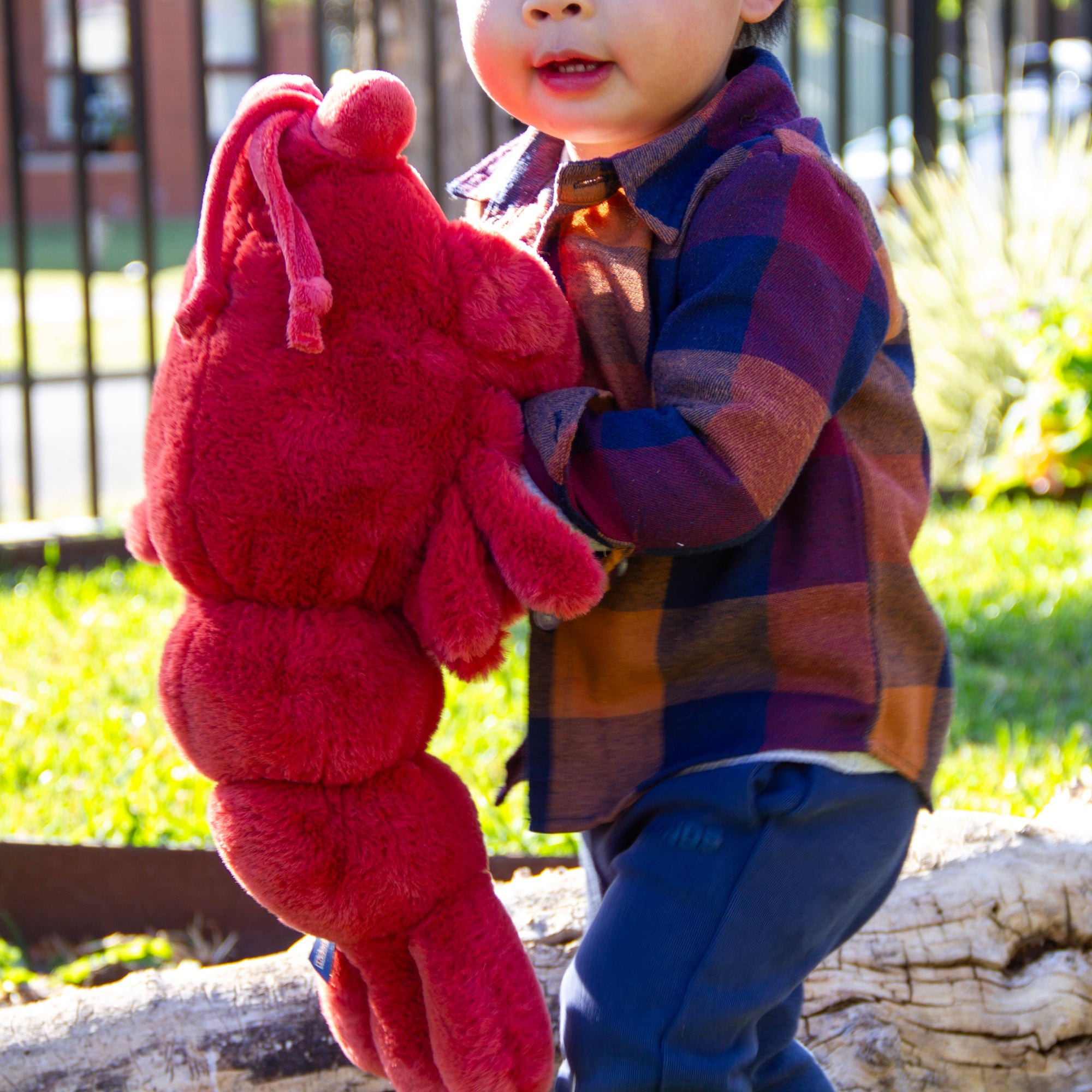 Wonderlings lobstery toy