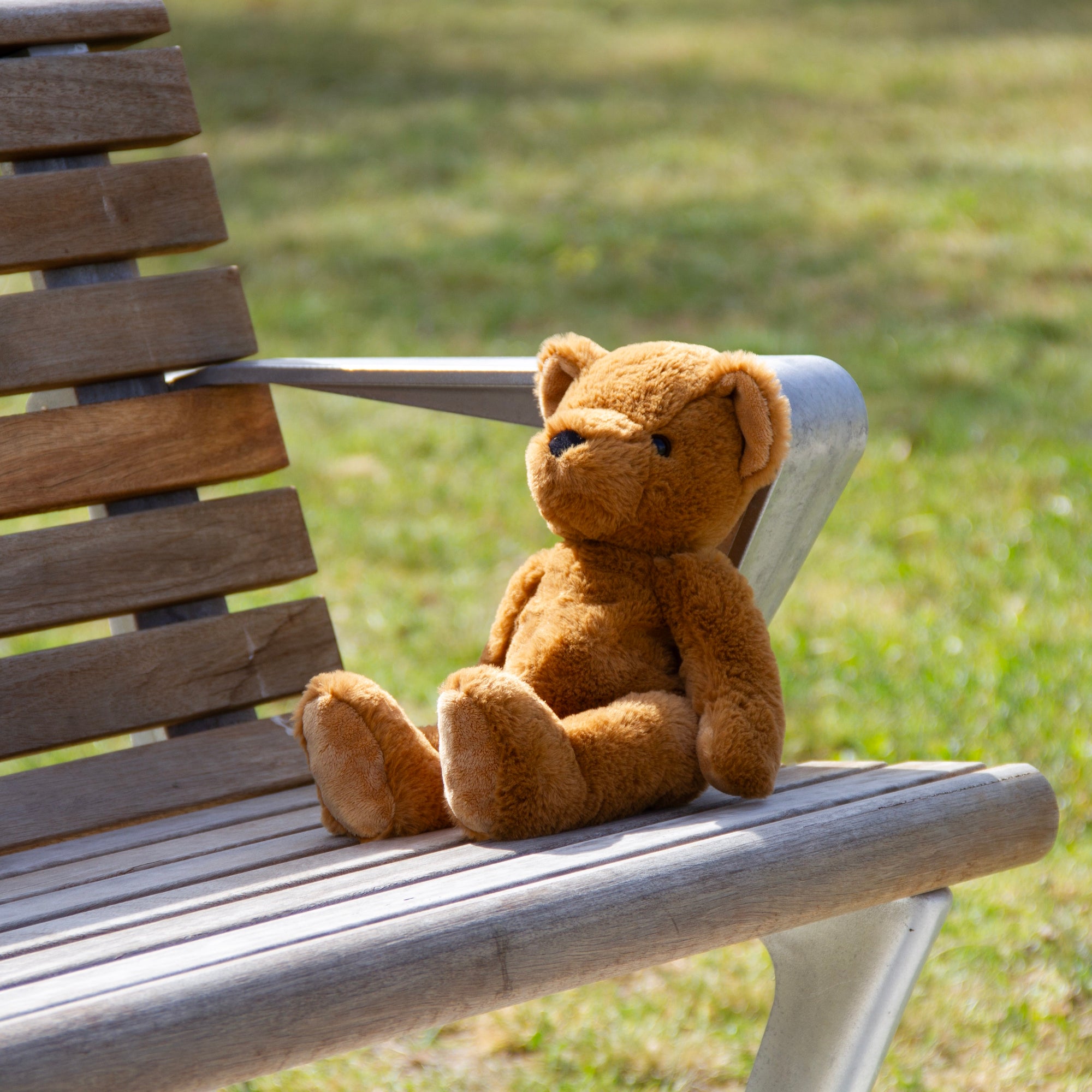 wonderlings theodore bear