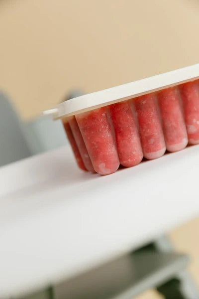 bibs baby food freezer tray