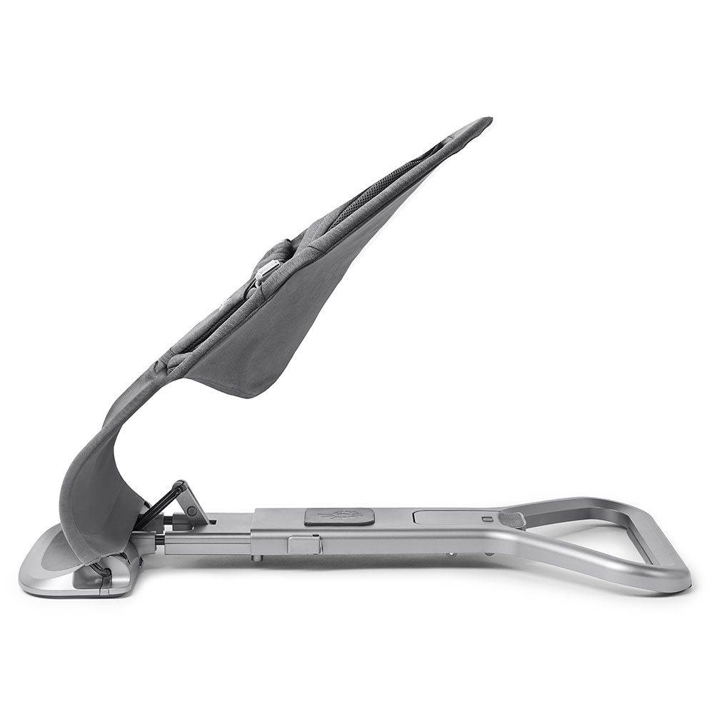 Ergobaby Evolve Bouncer