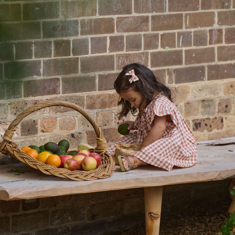 nature baby bow hair clips in dandelion gingham