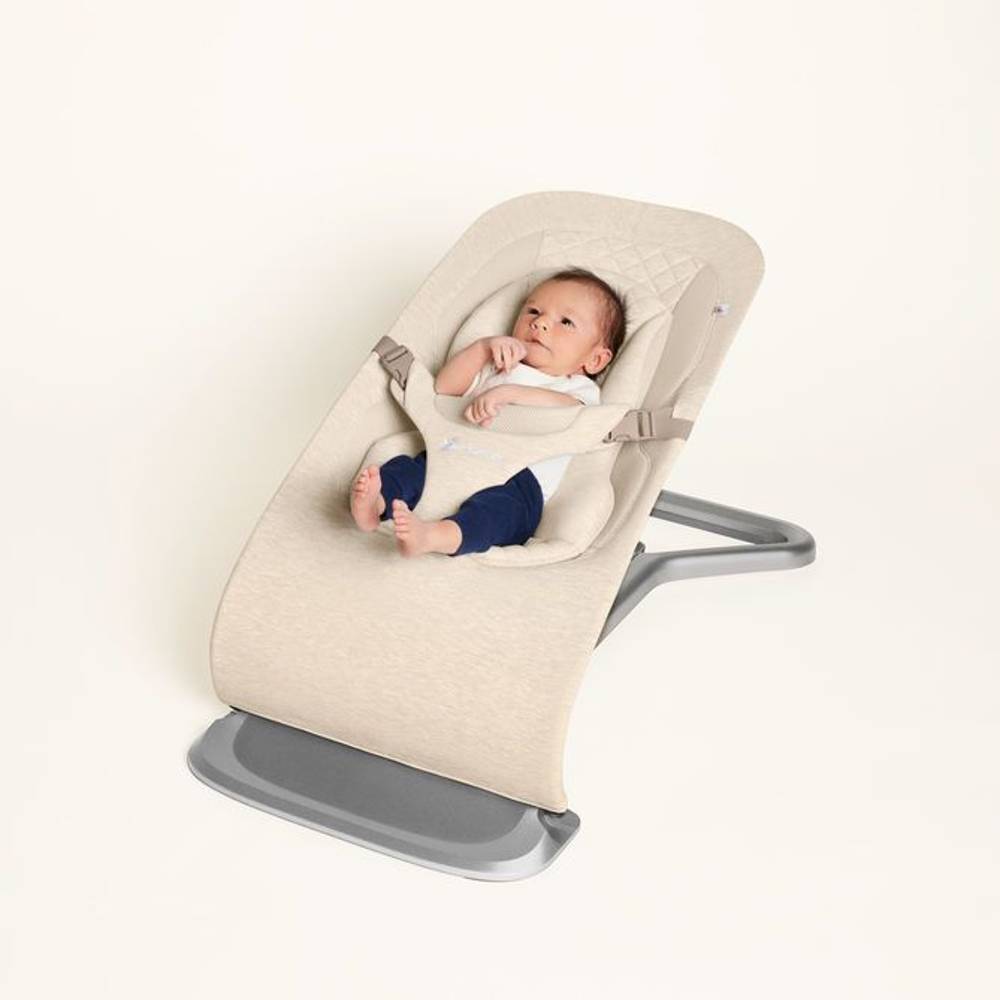 Ergobaby Evolve Bouncer