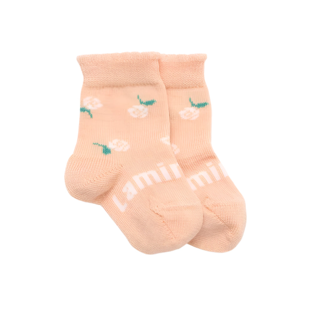 lamington socks daisy