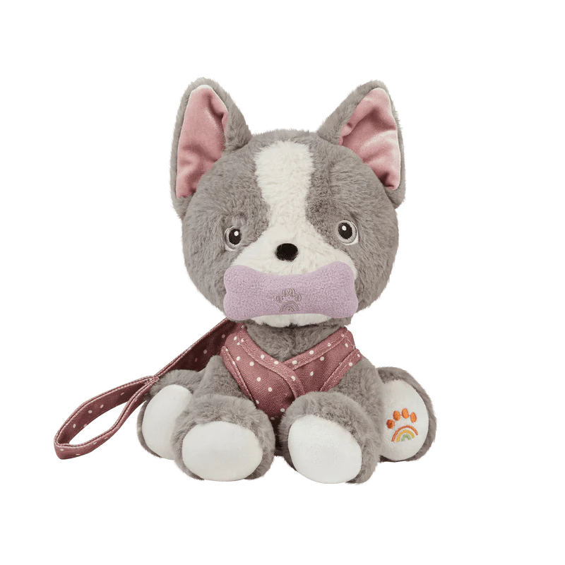 Olli Ella dinkum dog Gizmo