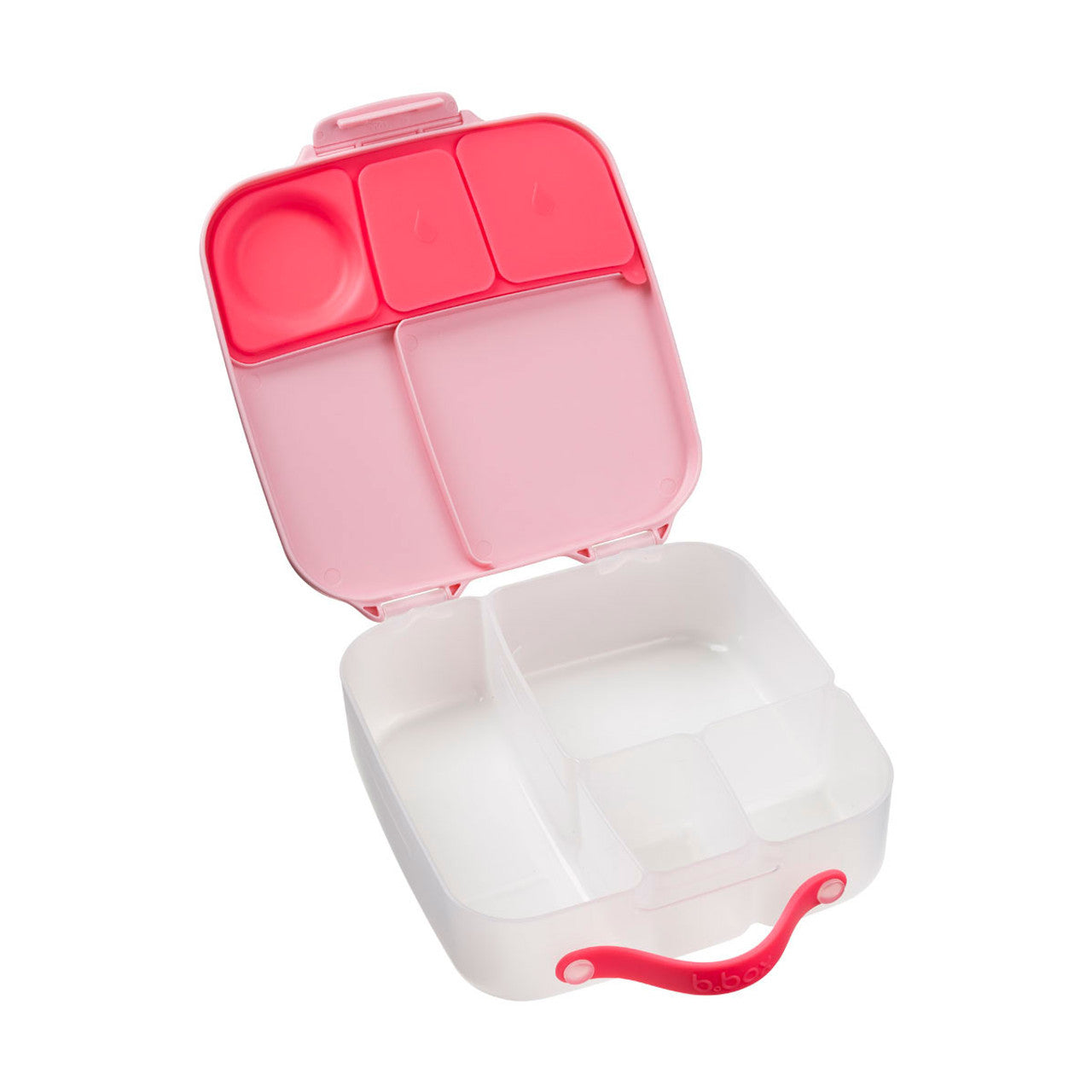 bbox flamingo fizz lunchbox