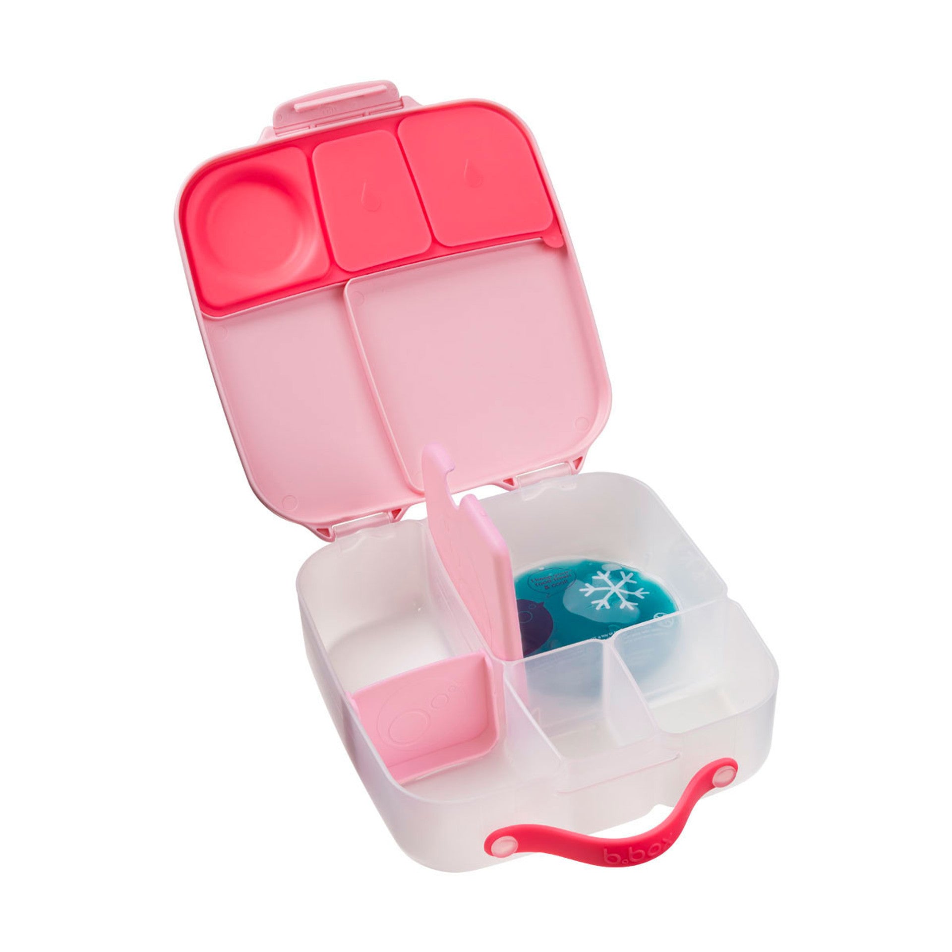 bbox flamingo fizz lunchbox
