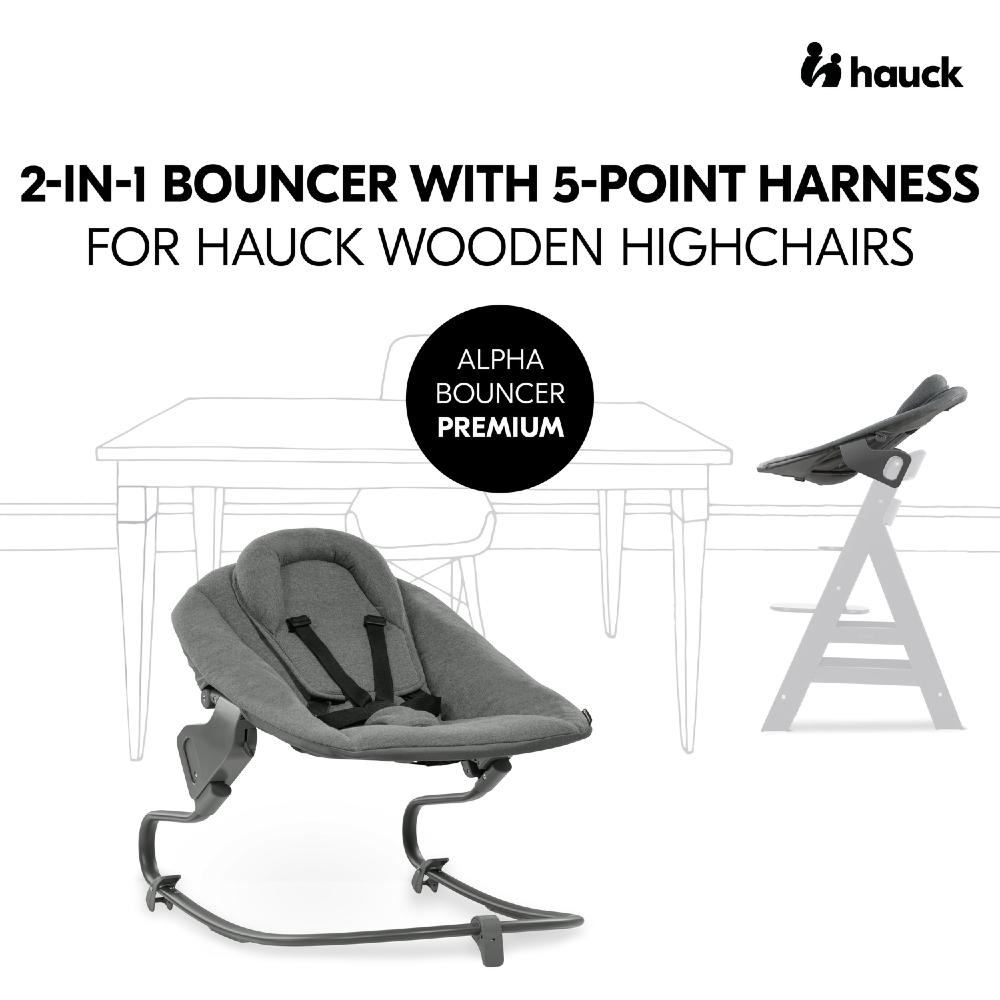 Hauck Bouncer Dark Grey