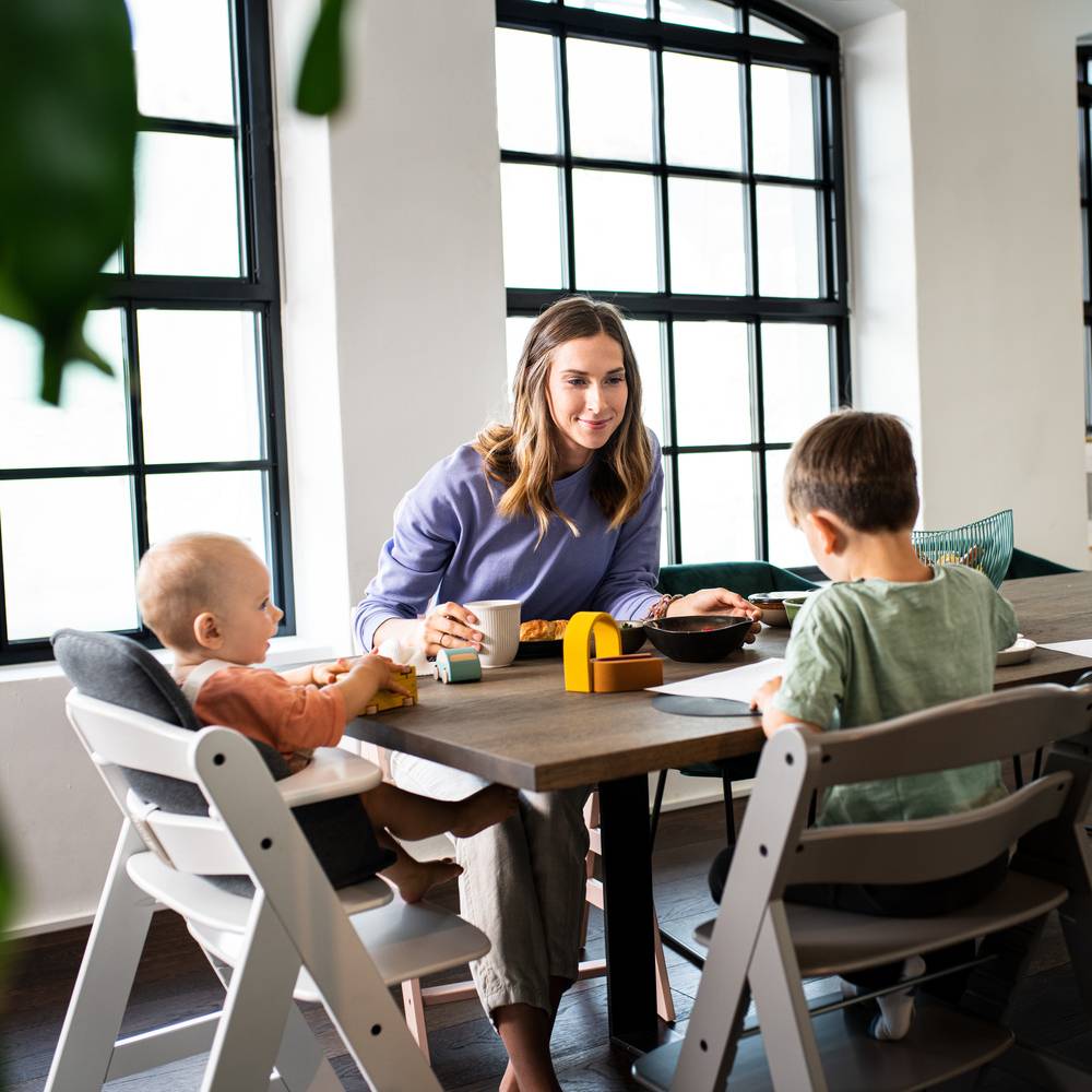 hauck highchair insert