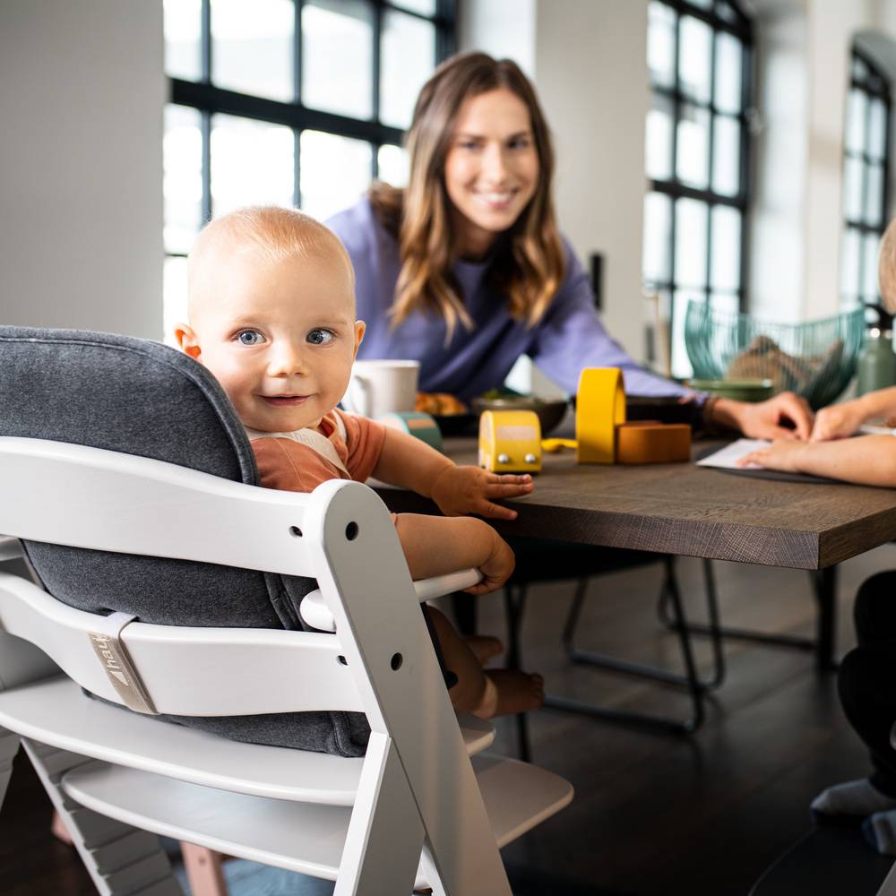 hauck highchair insert