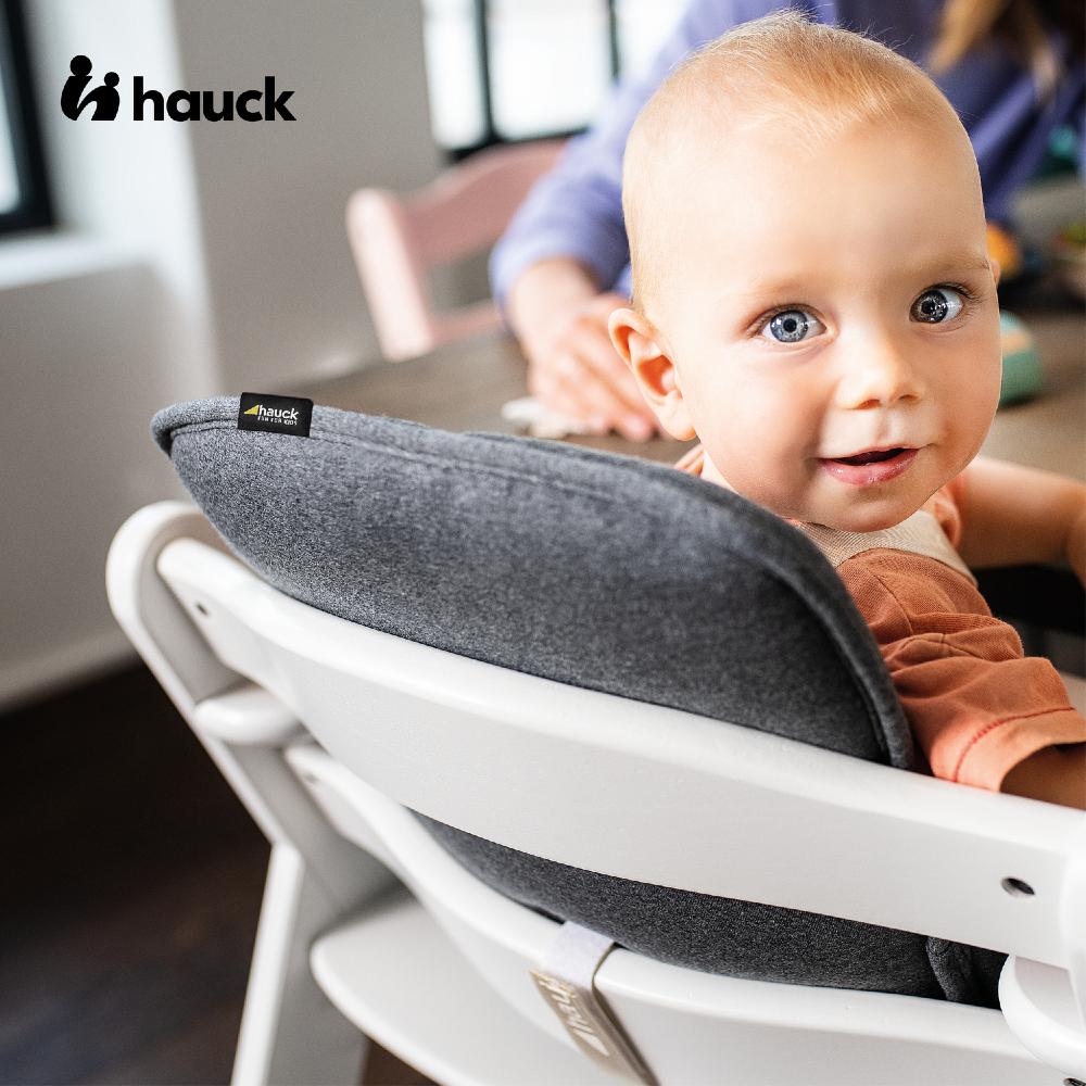 hauck highchair insert