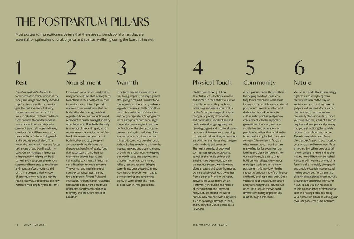 Life After Birth Jessica Prescott Book