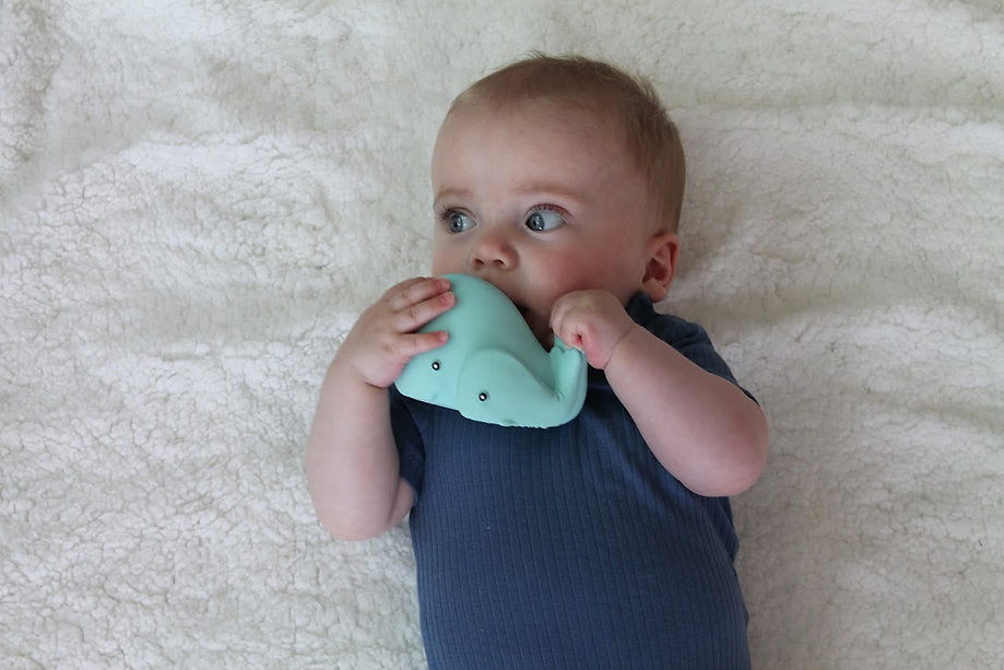 Lanco Rubber Bath Toy