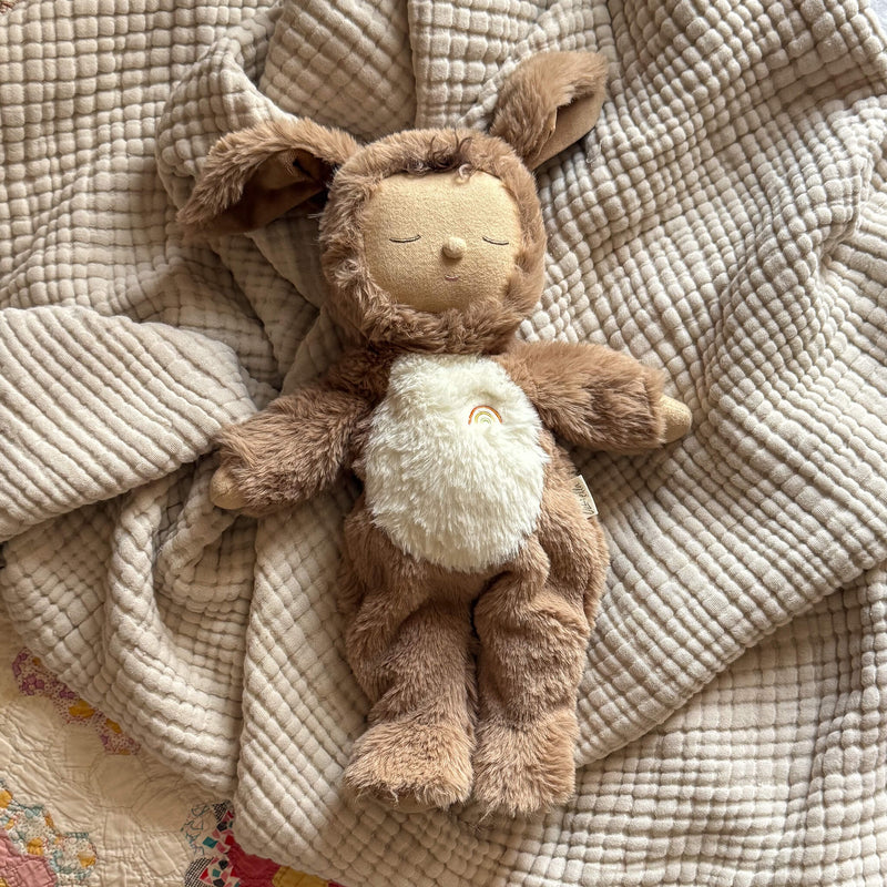 olli ella cozy dinkums dog digby