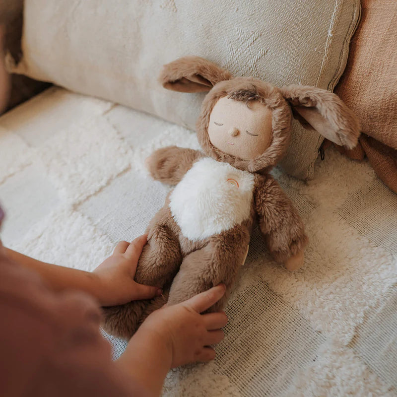 olli ella cozy dinkums dog digby