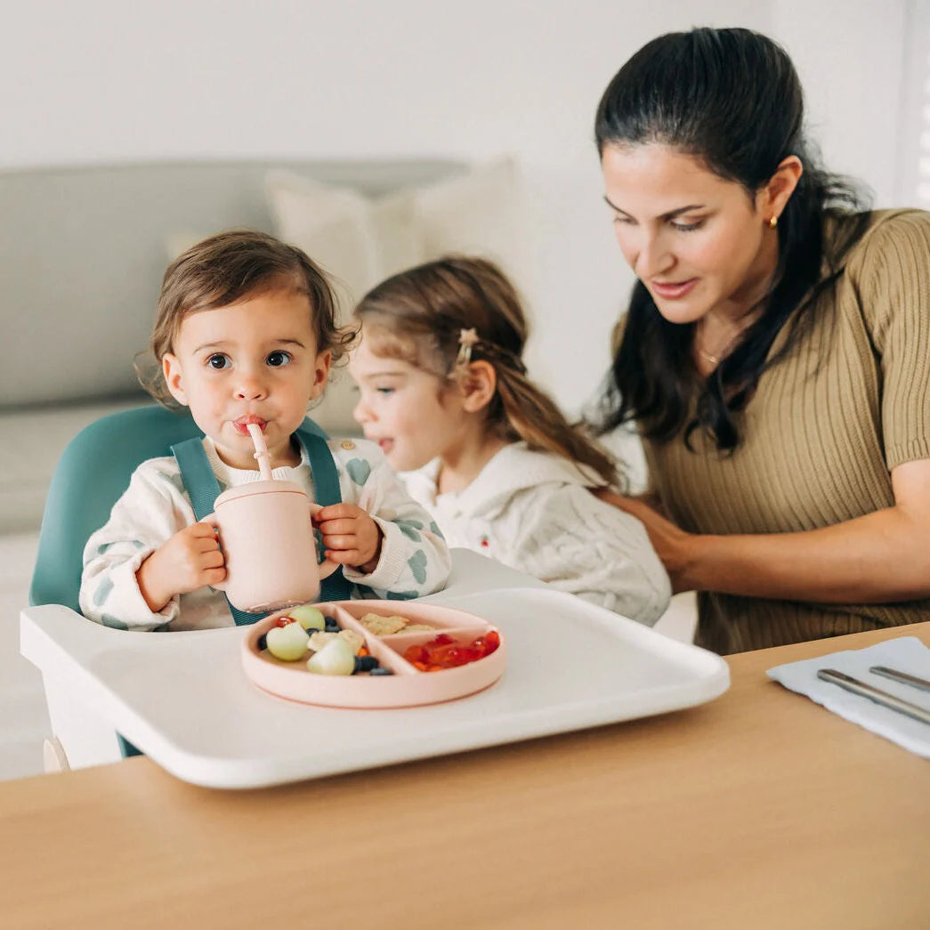 Uppababy ciro highchair emrick