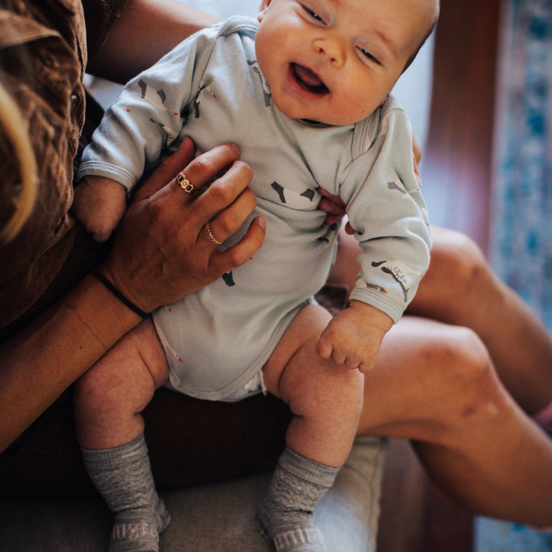 Lamington Wool Crew Socks - Bunny