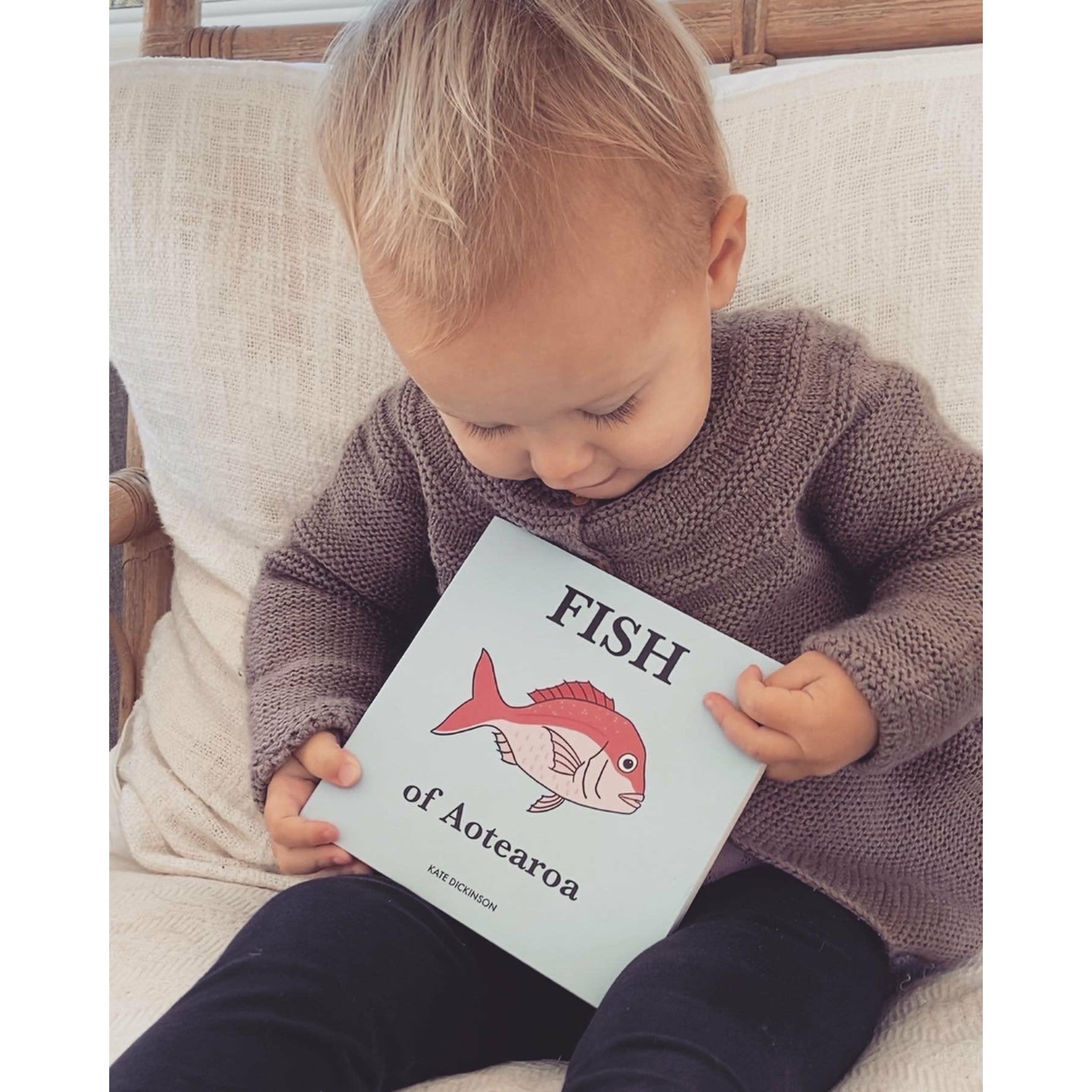 Fish of Aotearoa Book