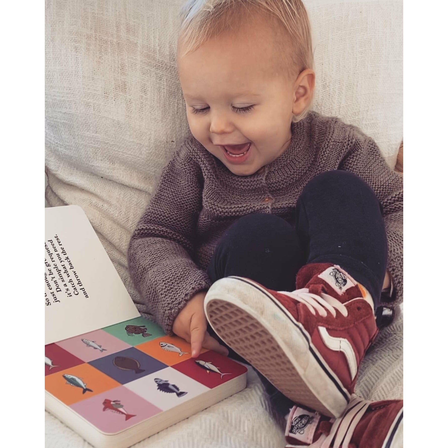 Fish of Aotearoa Book