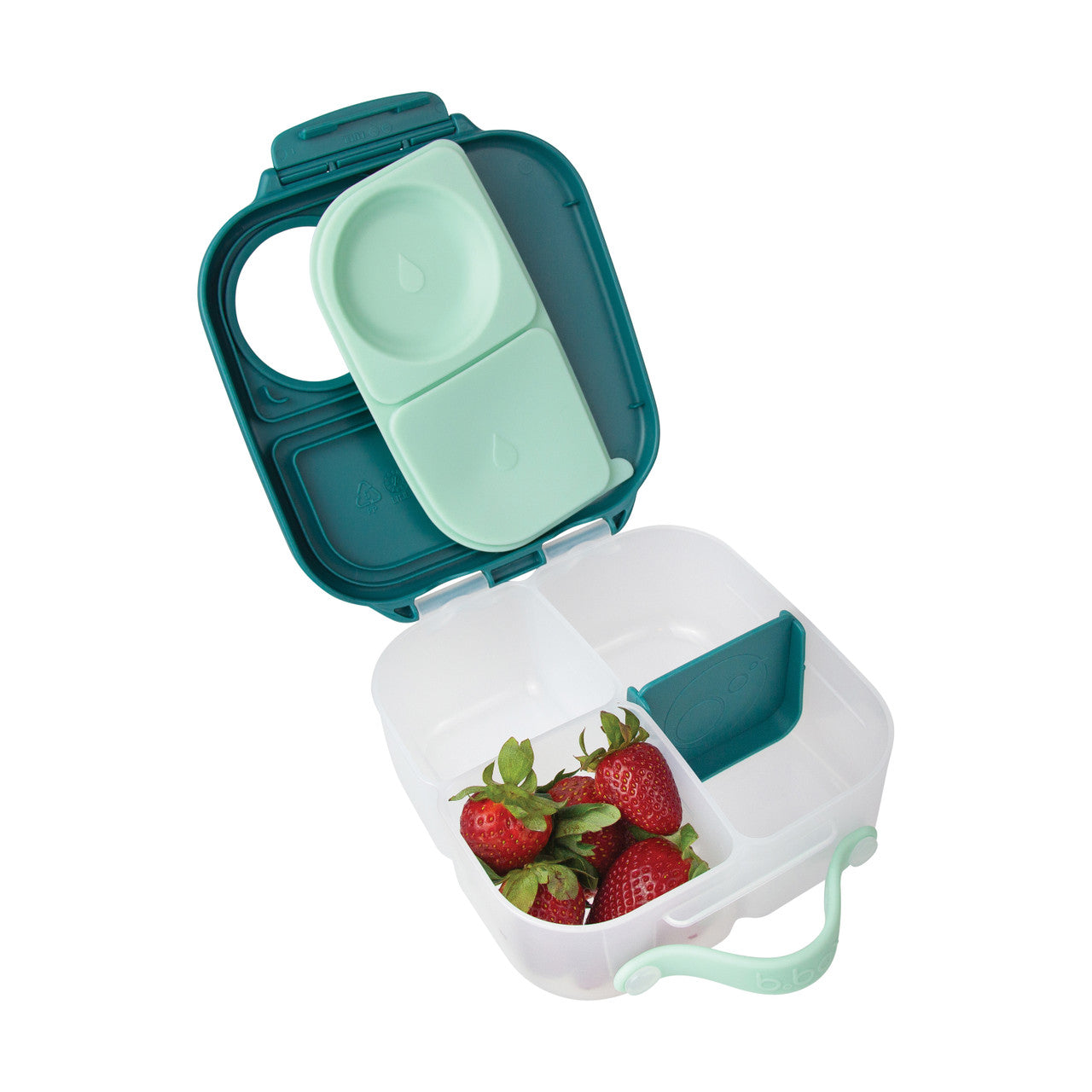 Mini Lunchbox Emerald Forest