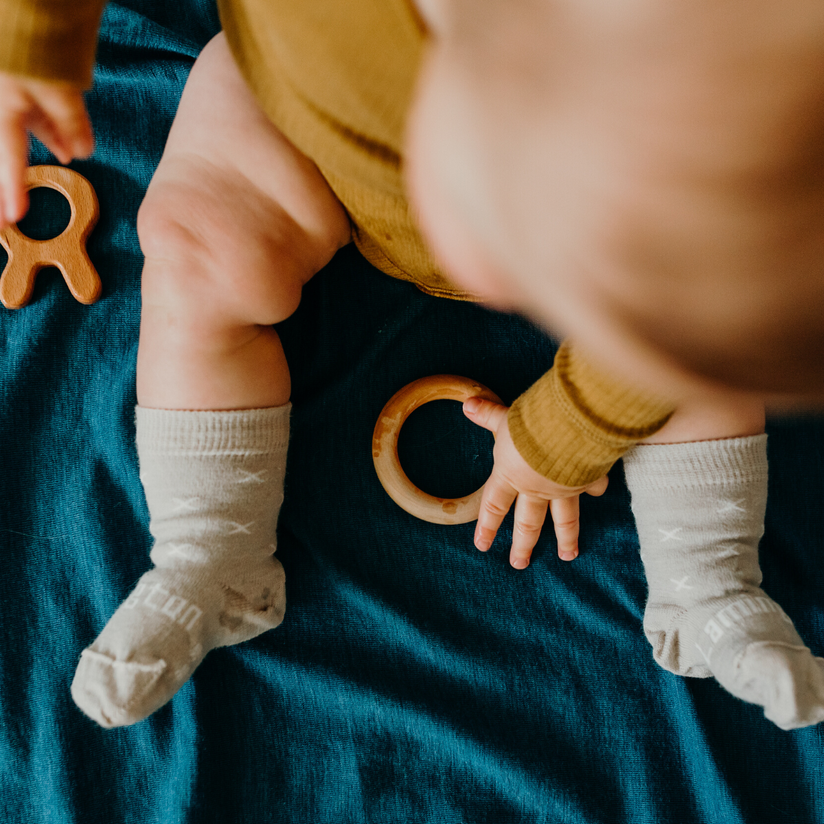 Lamington Merino Crew Socks - Ted