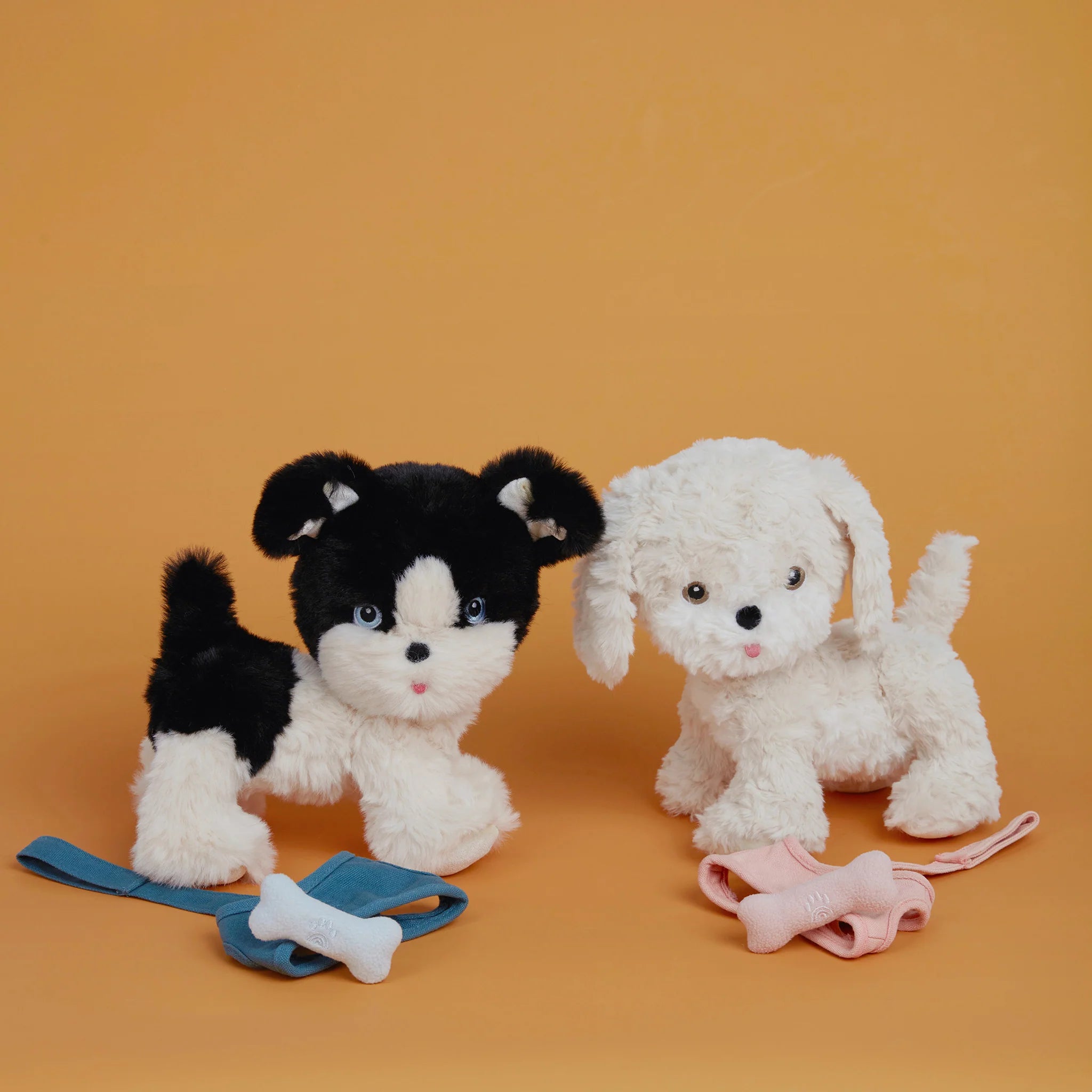 Olli ella dinkum dog lucky