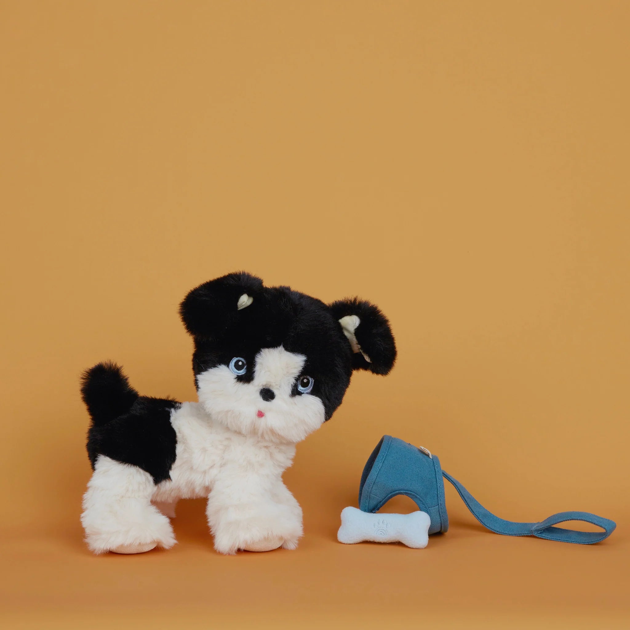 Olli ella dinkum dog lucky