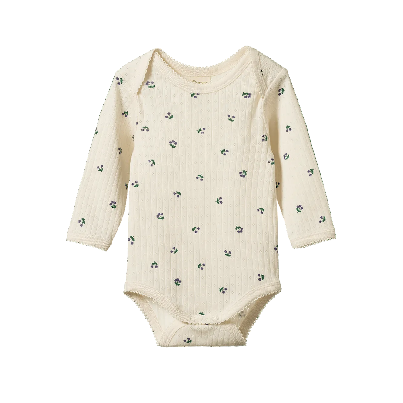 winter berry pointelle bodysuit