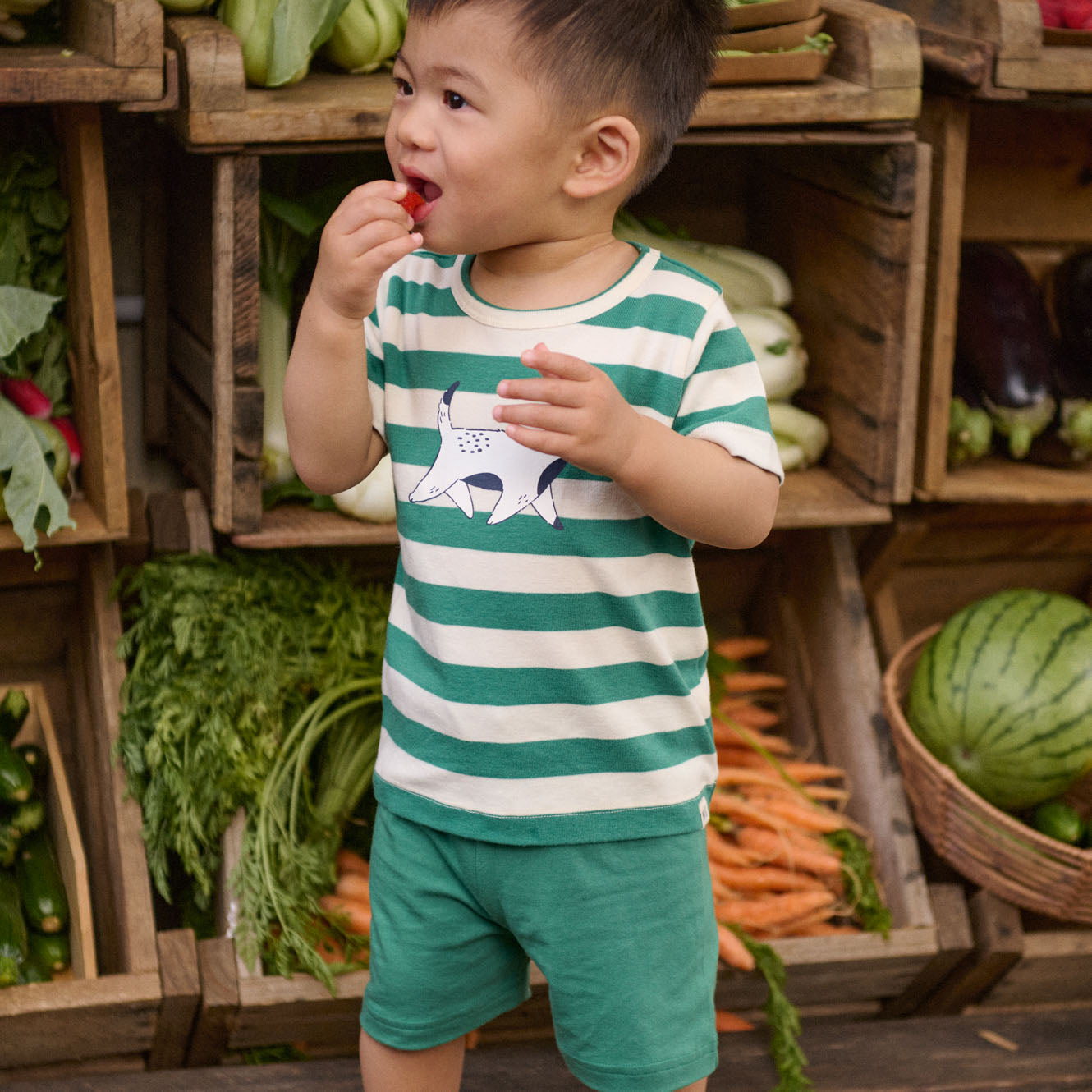 nature baby jimmy shorts in peppermint