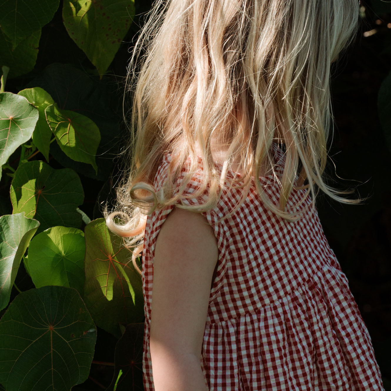 Nature baby dorothy dress red check