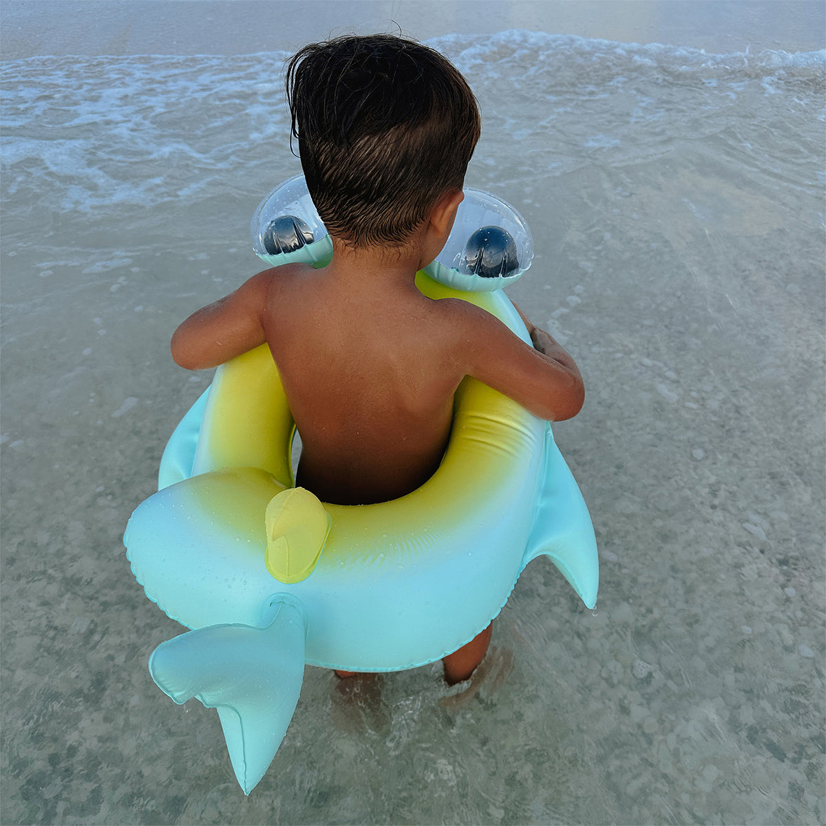 sunnylife shark pool ring 