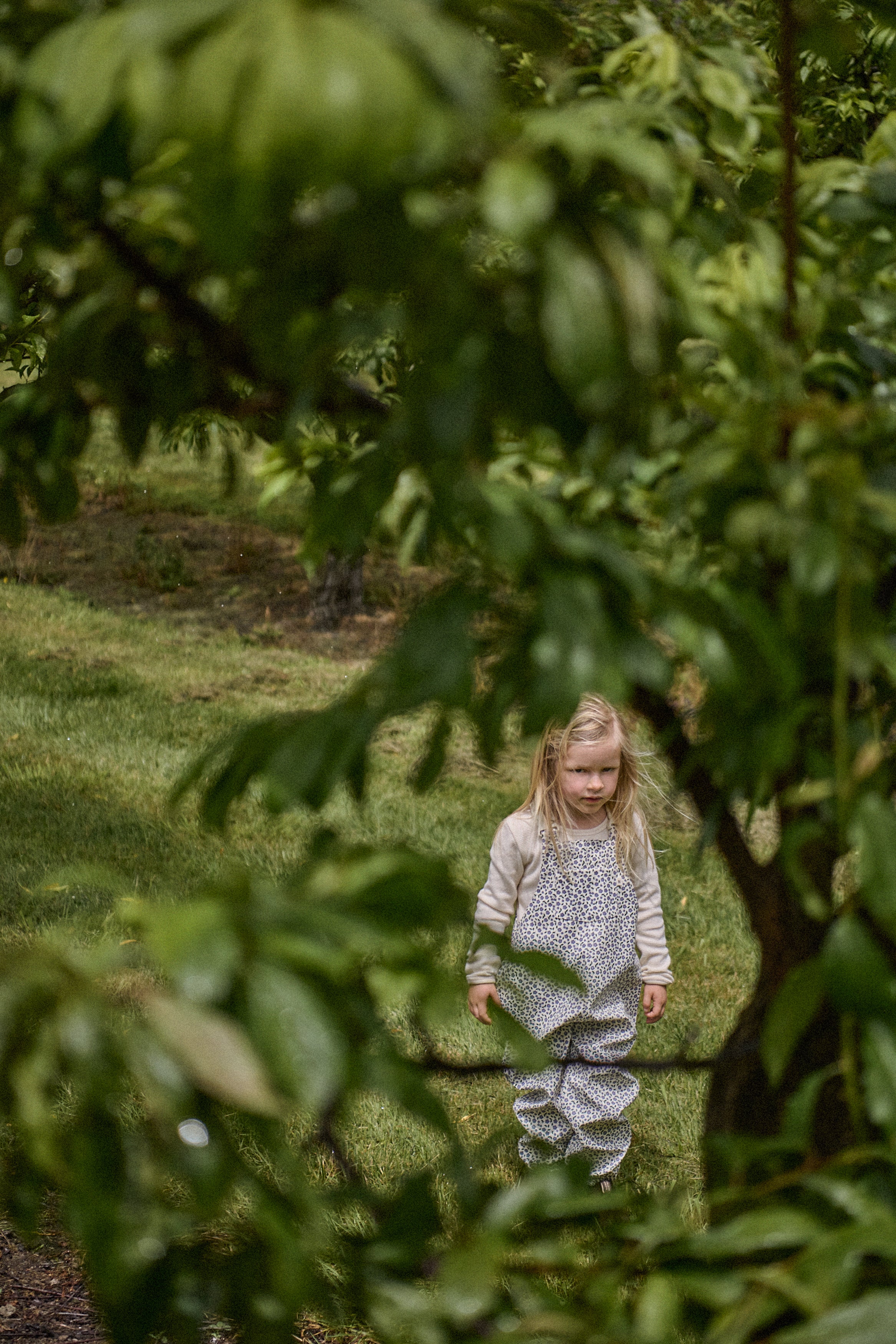 Briarwood splash overalls
