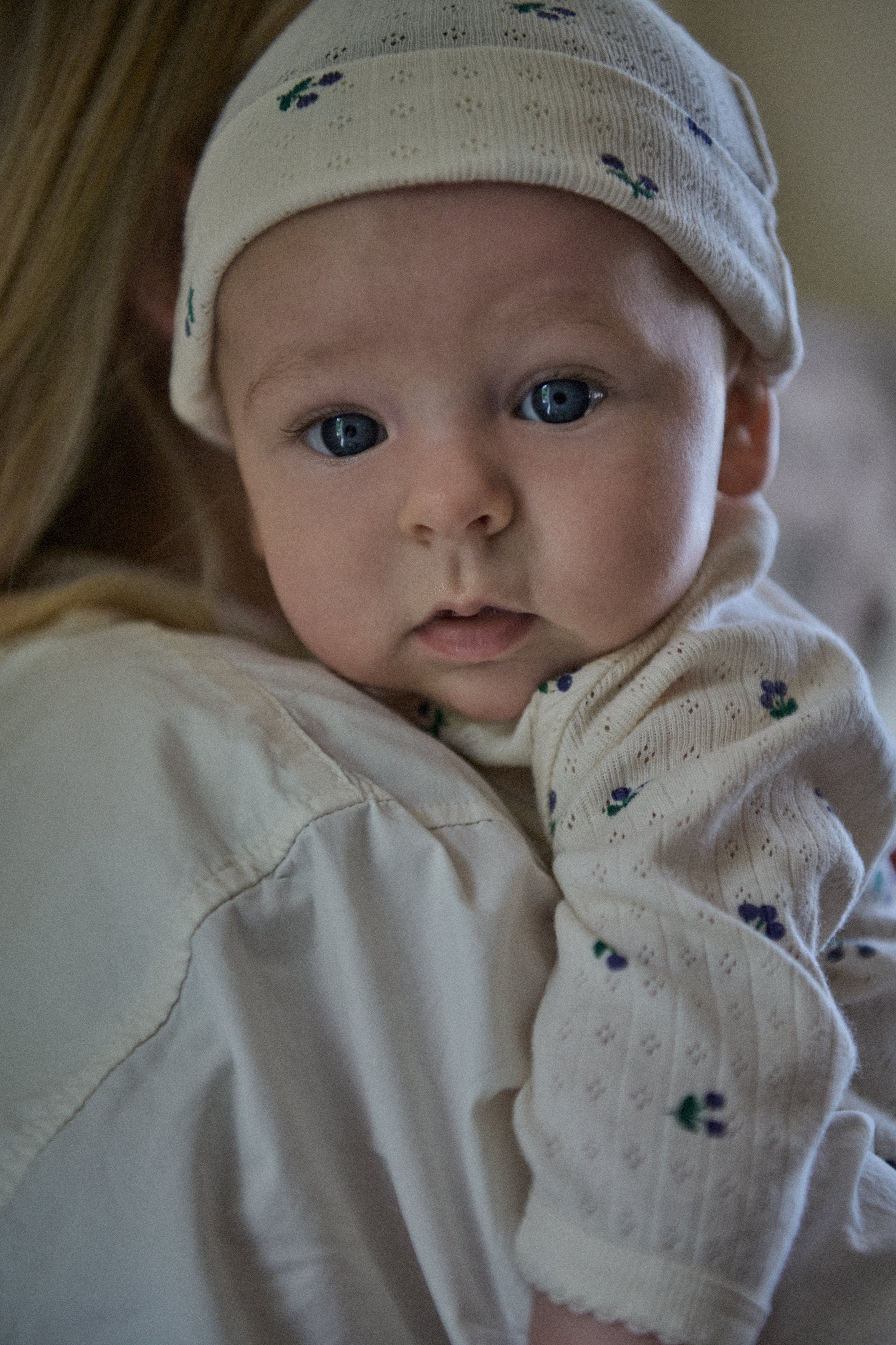 kimono stretch and grow winter berry